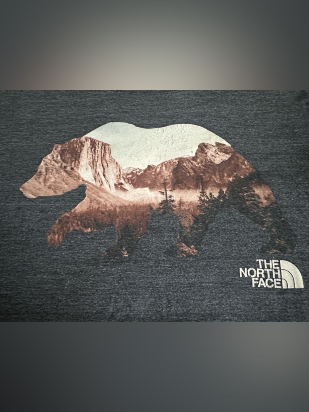 The North Face Charcoal Heather Mountain Bear Graphic Tee
